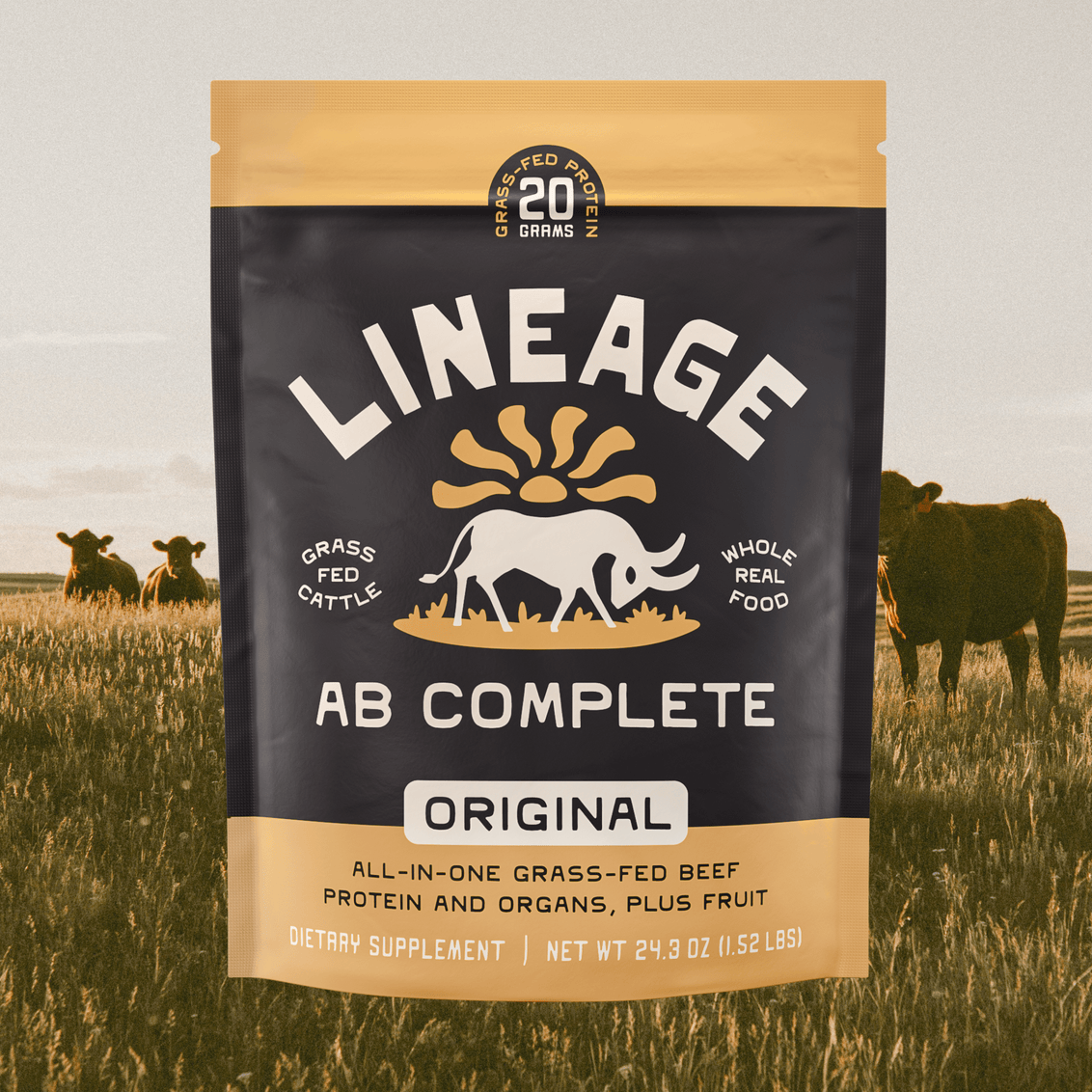 Animal-Based Complete Protein Powder