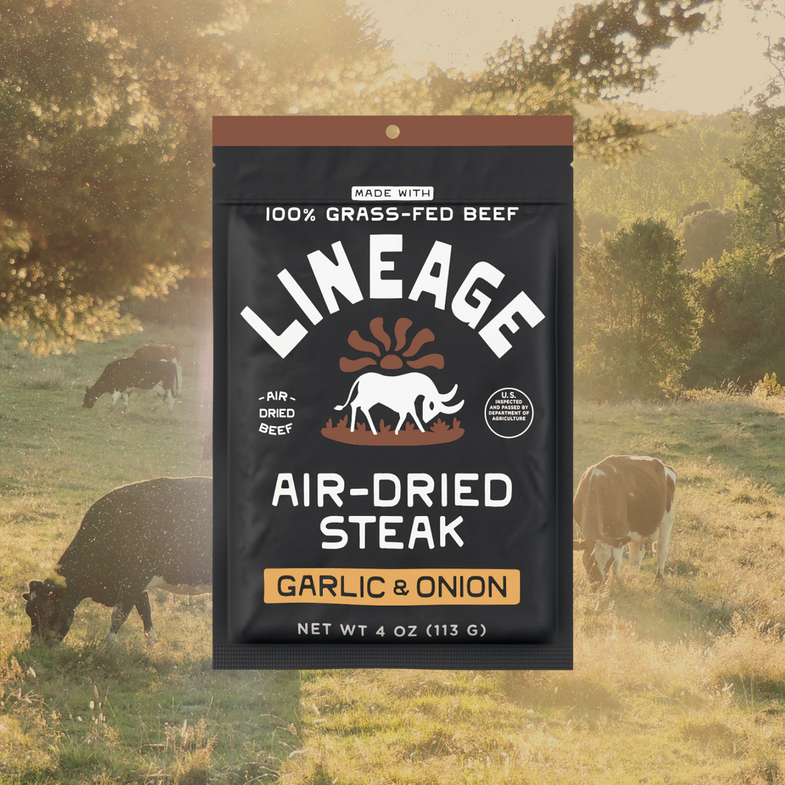 100% Grass-Fed Air-Dried Steak - Garlic & Onion