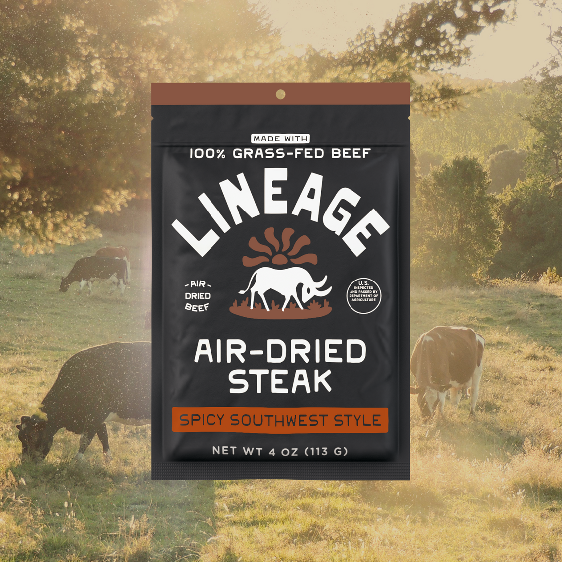 100% Grass-Fed Air-Dried Steak - Spicy Southwest