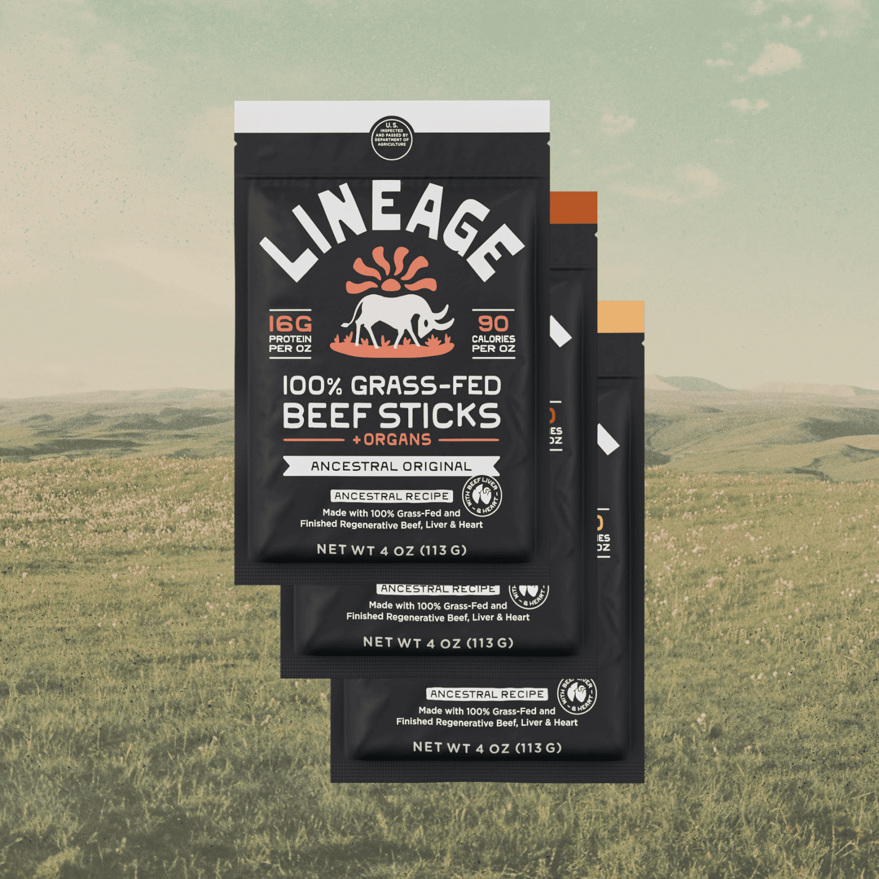 100% Grass-Fed Beef Sticks – Ancestral Recipe (Variety Pack)