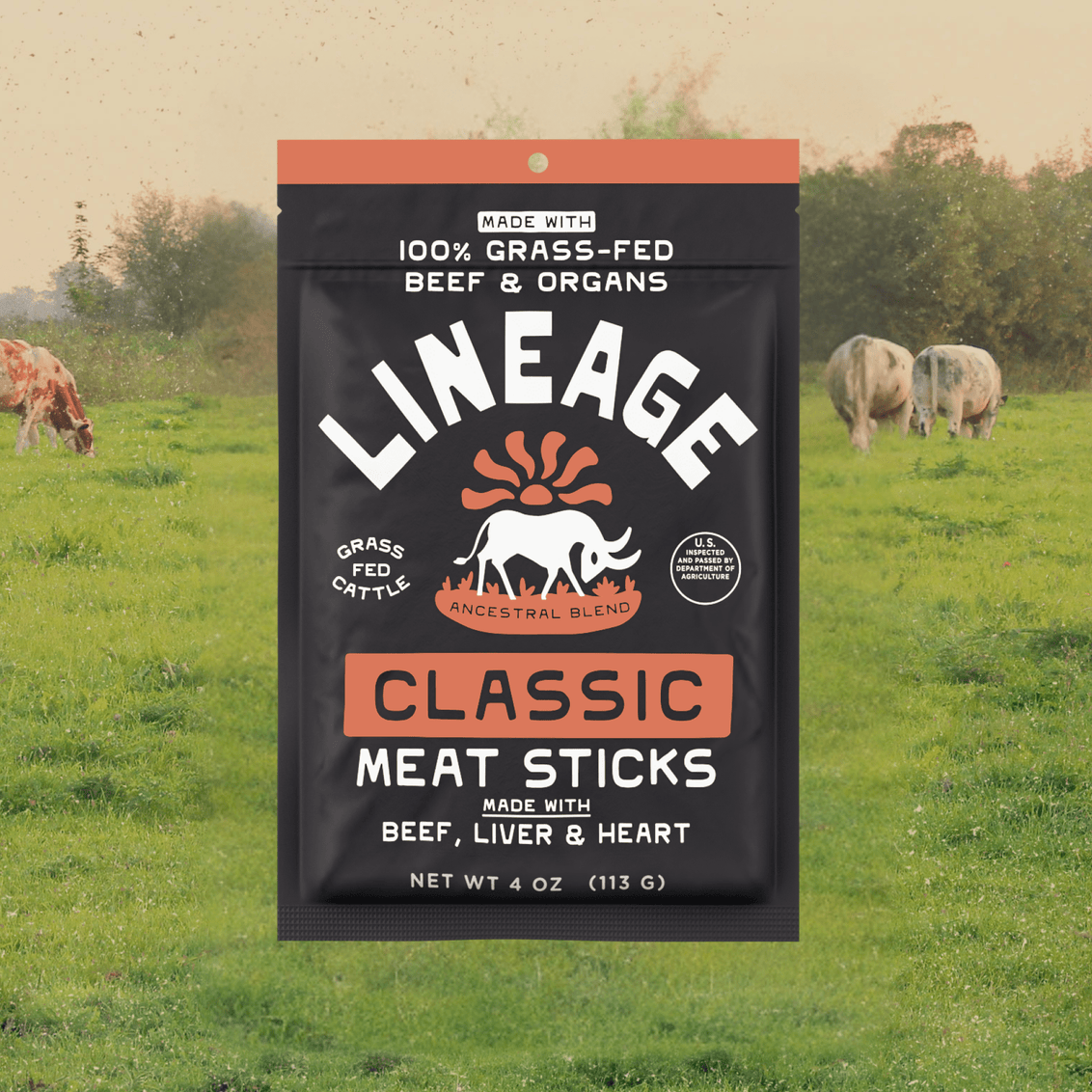 100% Grass-Fed Beef and Organ Meat Sticks – Classic