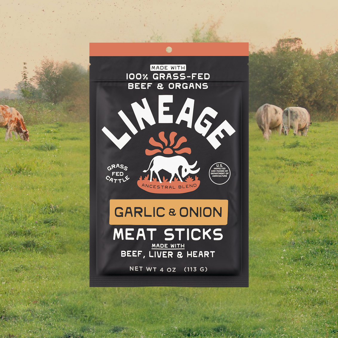 100% Grass-Fed Meat Sticks - Garlic & Onion