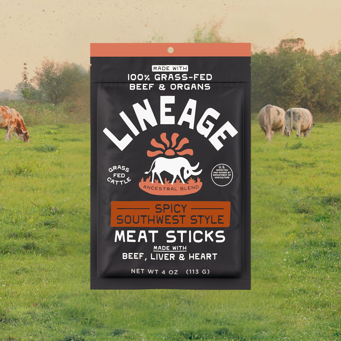 100% Grass-Fed Meat Sticks - Spicy Southwest