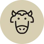 Mix in Raw Milk or smoothies