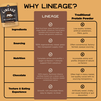 Animal-Based Complete Protein Powder – Chocolate
