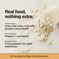 Animal-Based Complete - Dairy Protein (Original)