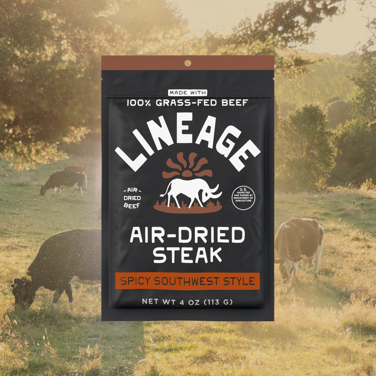 100% Grass-Fed Air-Dried Steak - Spicy Southwest