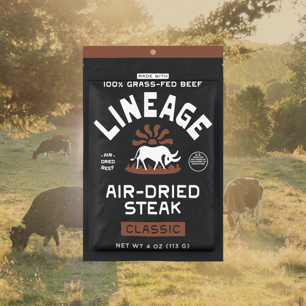 100% Grass-Fed Air-Dried Steak