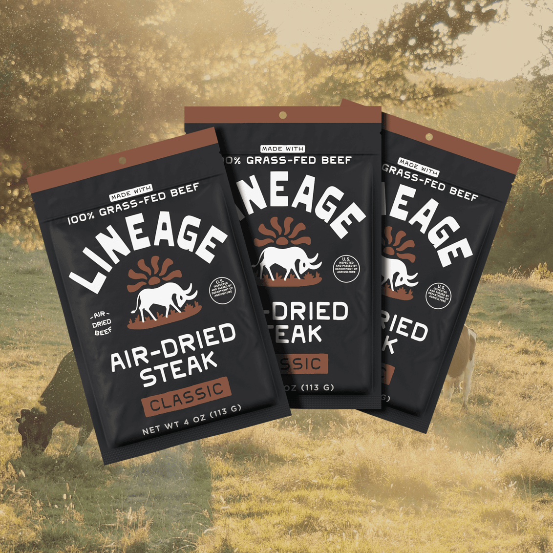 100% Grass-Fed Air-Dried Steak (Classic)