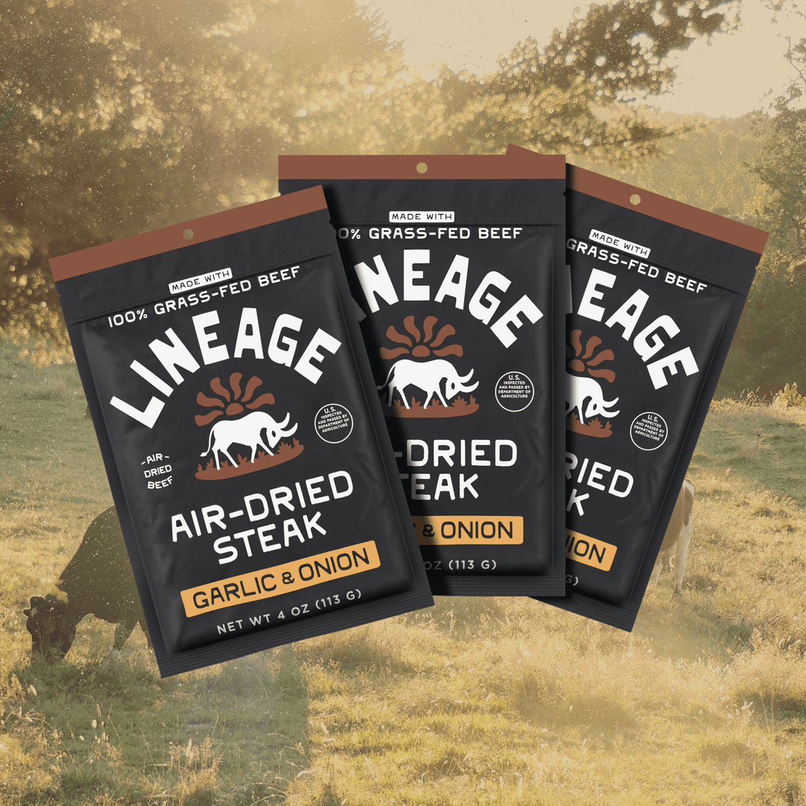 100% Grass-Fed Air-Dried Steak - Garlic & Onion