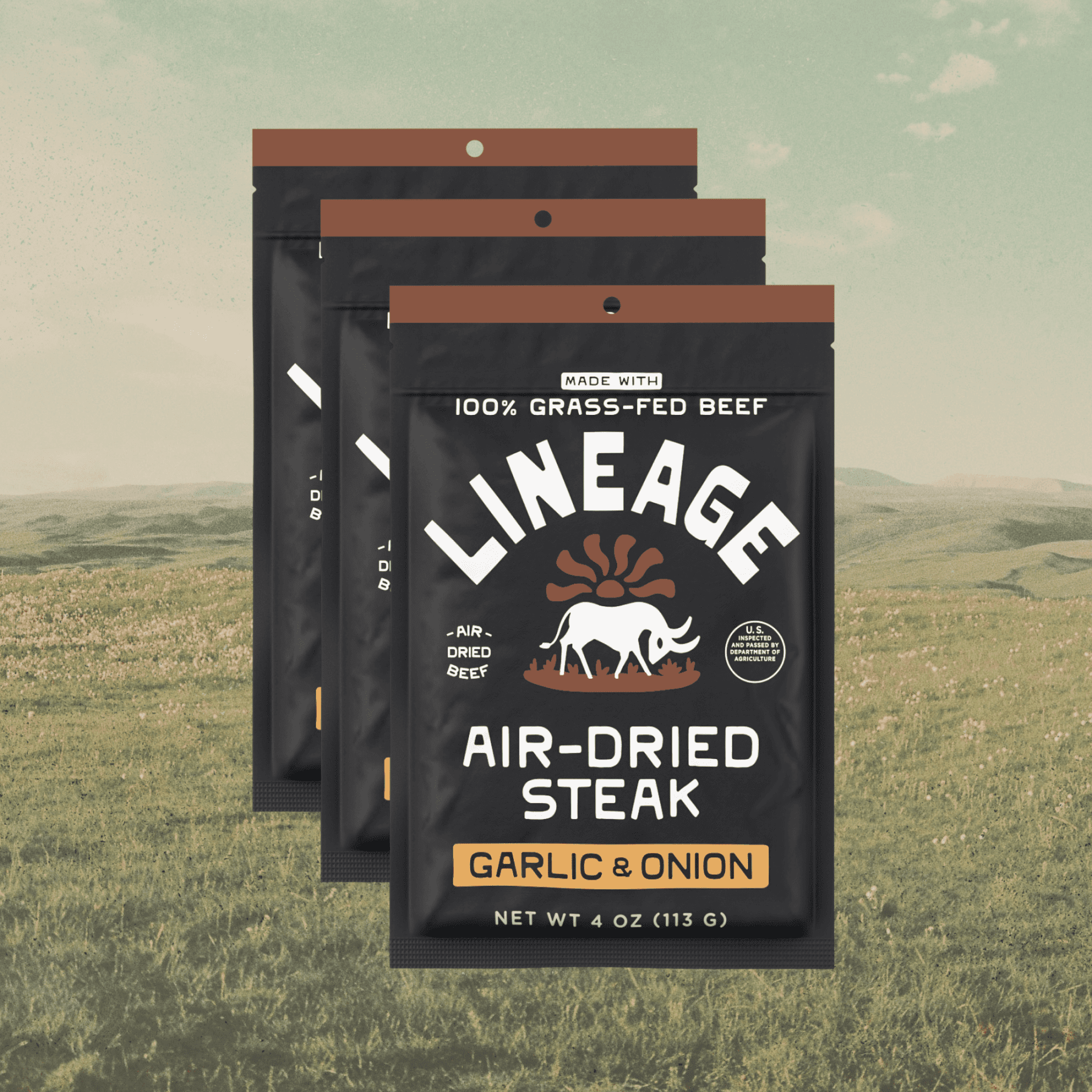 100% Grass-Fed Air-Dried Steak (Garlic &amp; Onion)