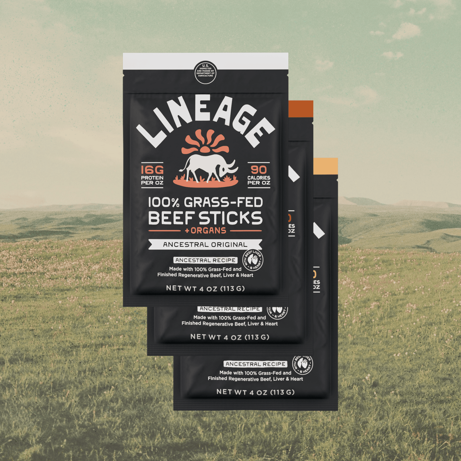 100% Grass-Fed Beef Sticks – Ancestral Recipe (Variety Pack)