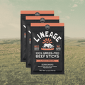 100% Grass-Fed Beef Sticks – Original Flavor