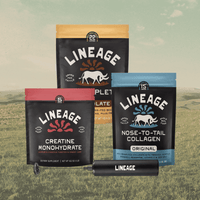 Clean Power Trio - Chocolate