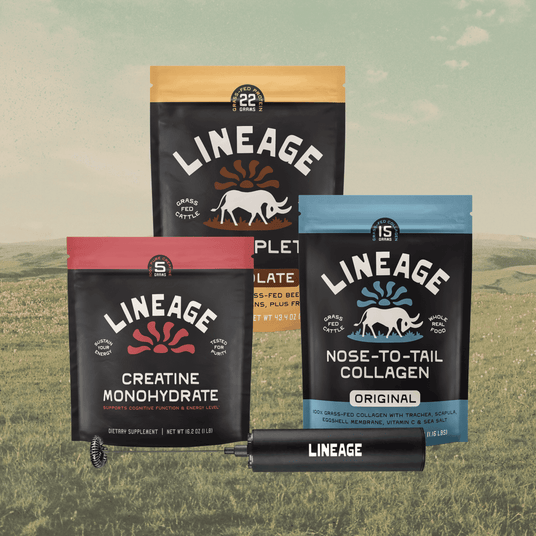 Clean Power Trio - Chocolate