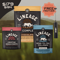 Clean Power Trio - Chocolate