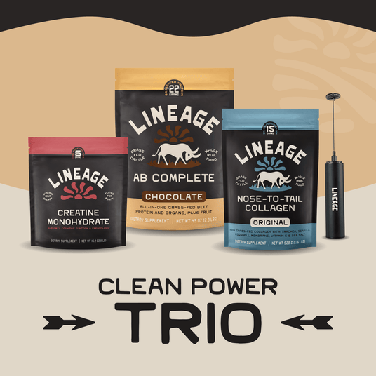 Clean Power Trio - Chocolate