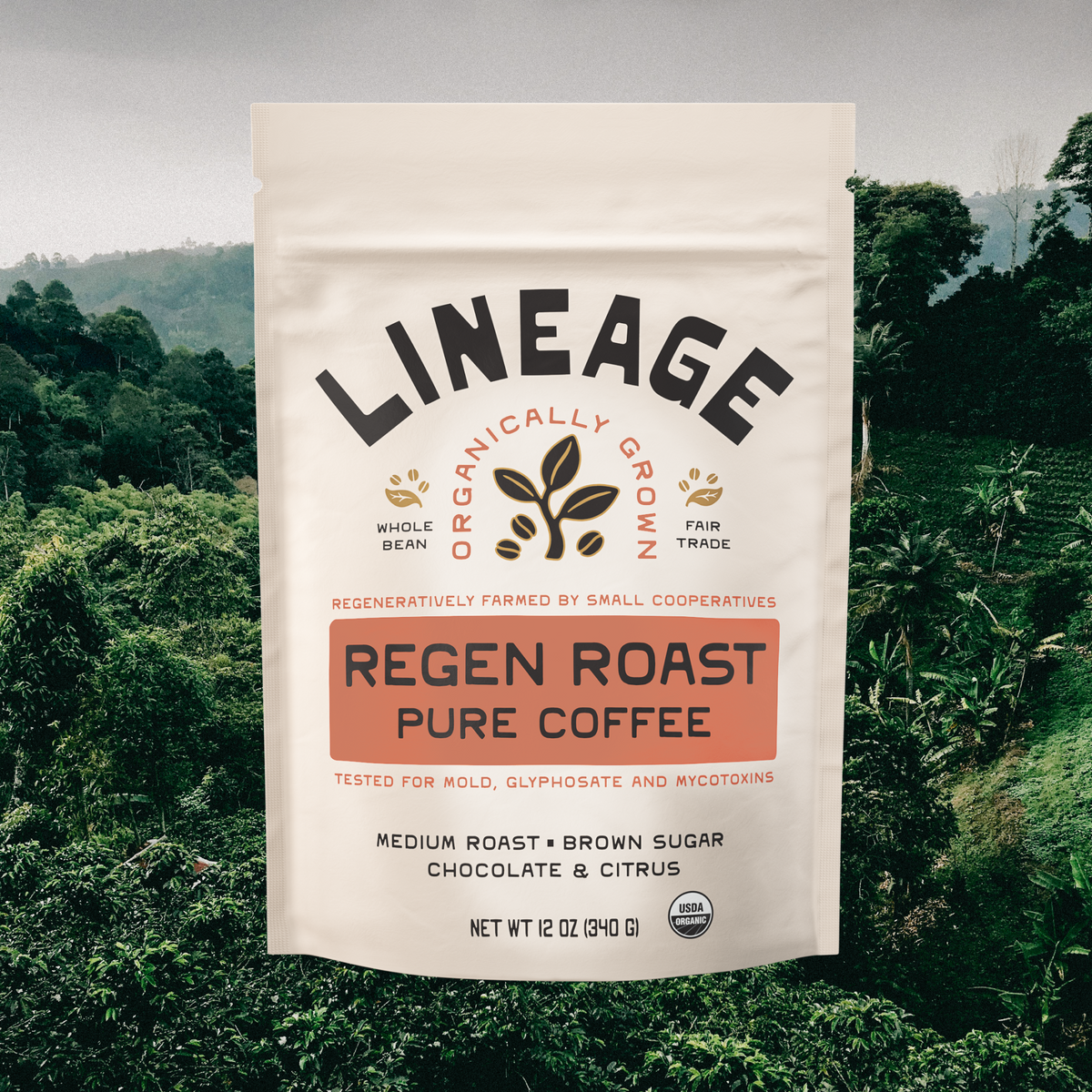 Lineage Regen Roast Coffee