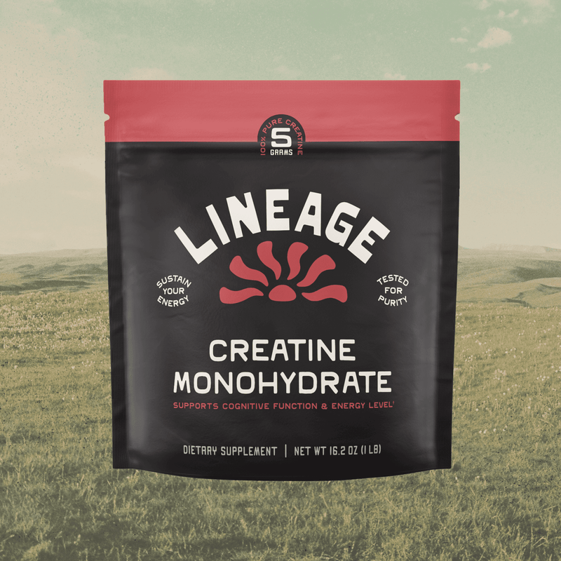 Micronized Creatine Monohydrate