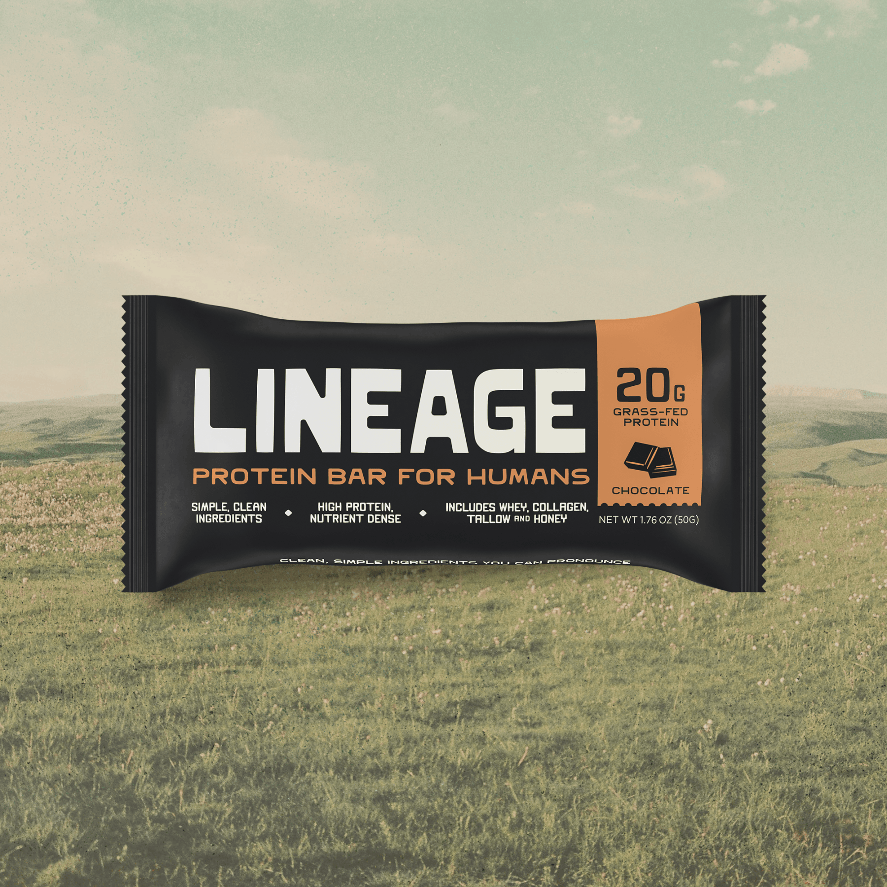 The Lineage Protein Bar (Chocolate)