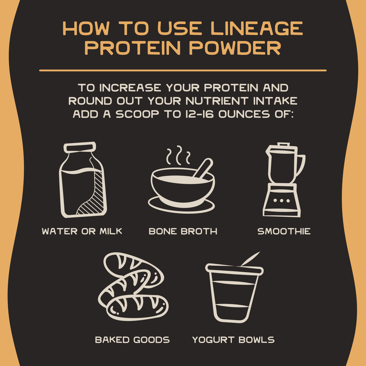 Animal-Based Complete Protein Powder