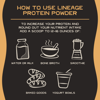 Animal-Based Complete Protein Powder
