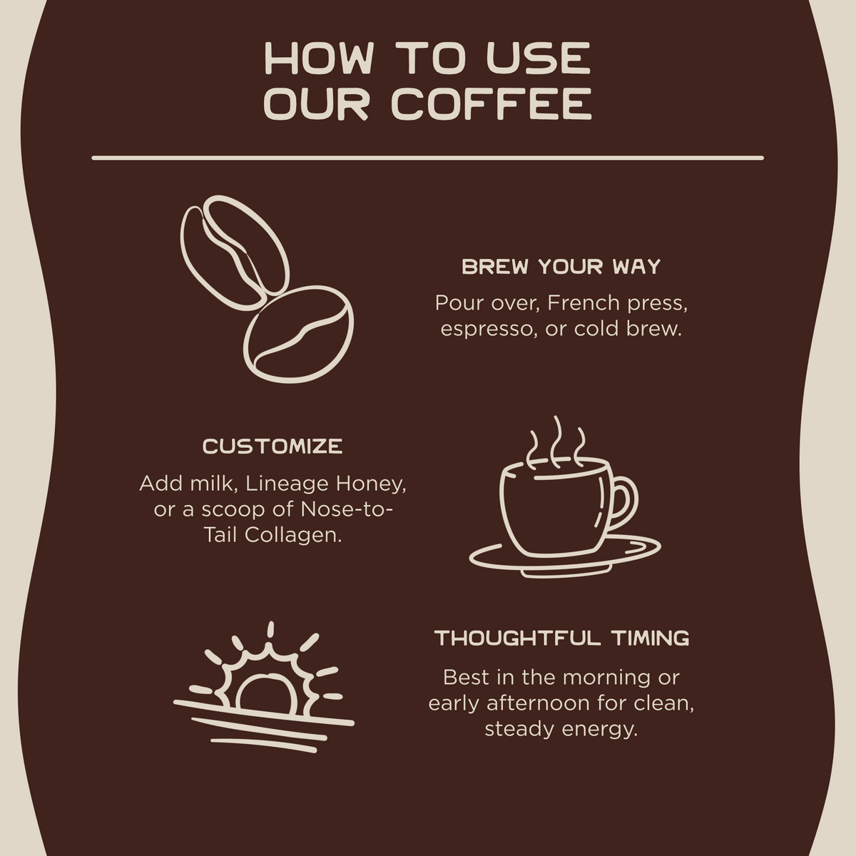 Rewild Roast Coffee