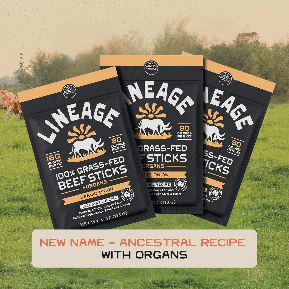 100% Grass-Fed Beef & Organ Meat Sticks – Ancestral Recipe, Garlic Onion