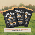 100% Grass-Fed Beef Sticks – Ancestral Recipe (Garlic & Onion)