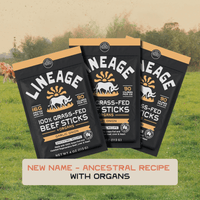 100% Grass-Fed Beef & Organ Meat Sticks – Ancestral Recipe, Garlic Onion
