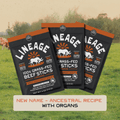 100% Grass-Fed Beef Sticks – Ancestral Recipe (Spicy Southwest)