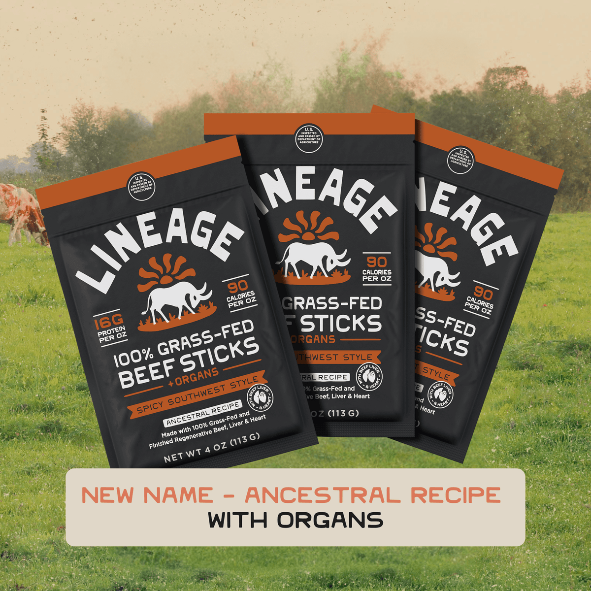 100% Grass-Fed Beef & Organ Meat Sticks – Ancestral Recipe, Spicy Southwest