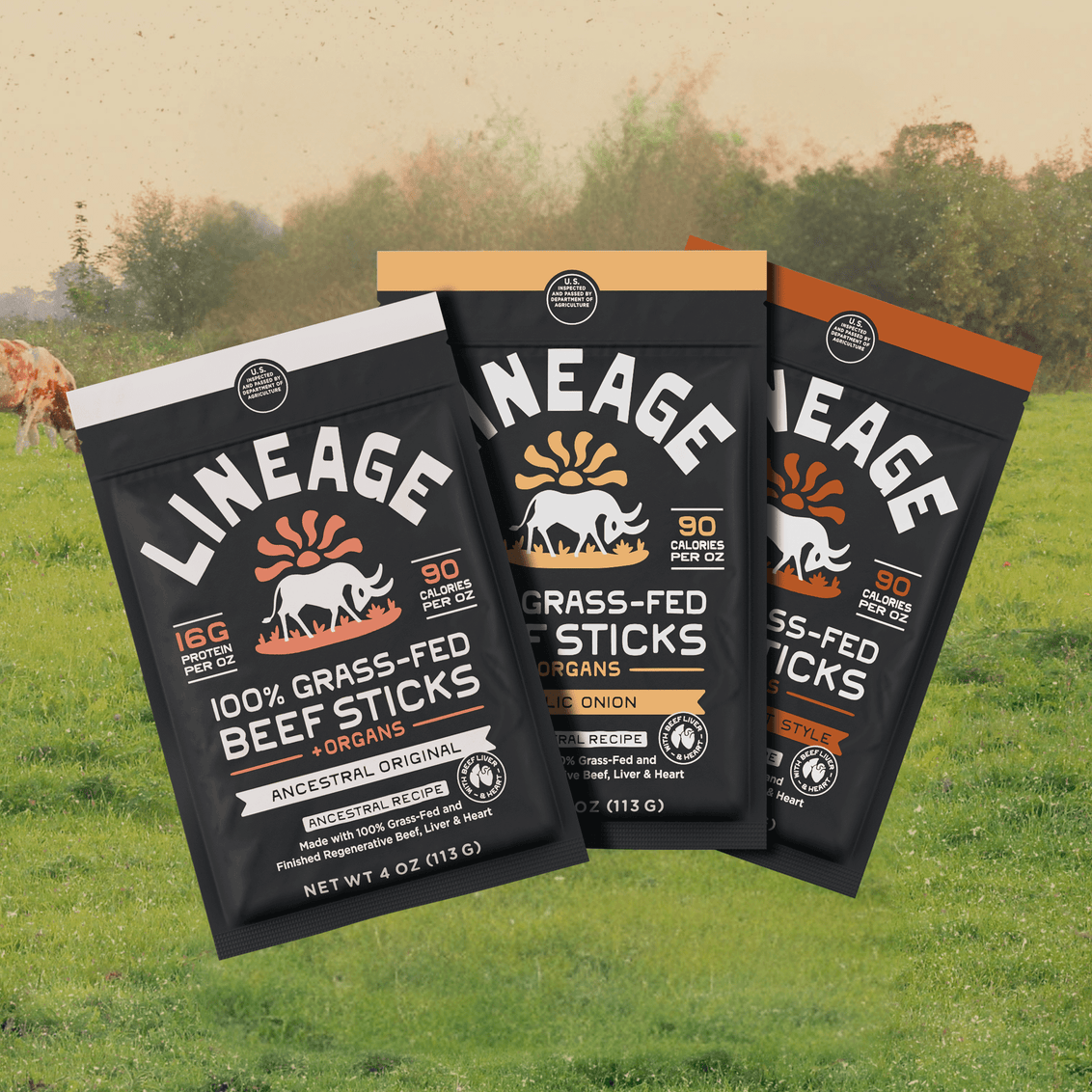 100% Grass-Fed Beef Sticks – Ancestral Recipe (Variety Pack)
