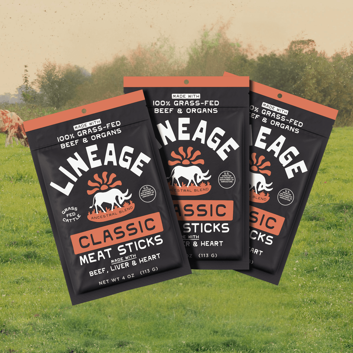 100% Grass-Fed Beef and Organ Meat Sticks – Classic