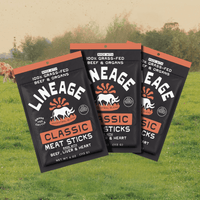 100% Grass-Fed Beef and Organ Meat Sticks – Classic