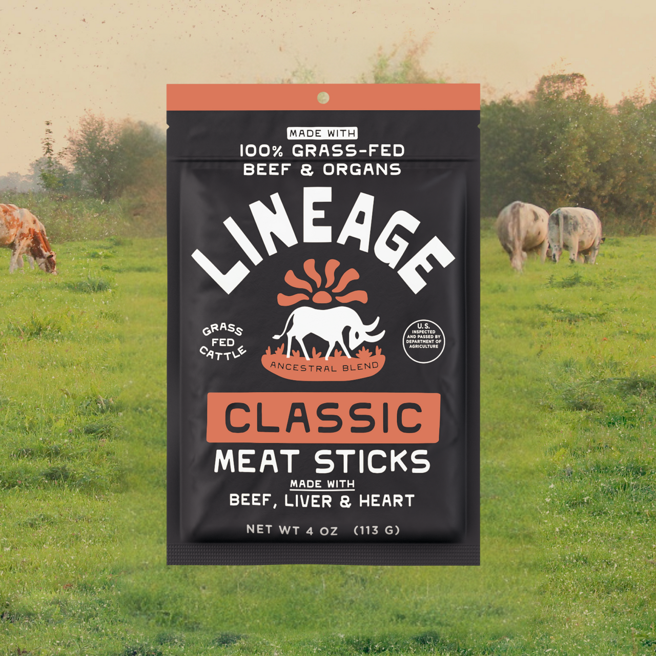 100% Grass-Fed Beef and Organ Meat Sticks – Classic