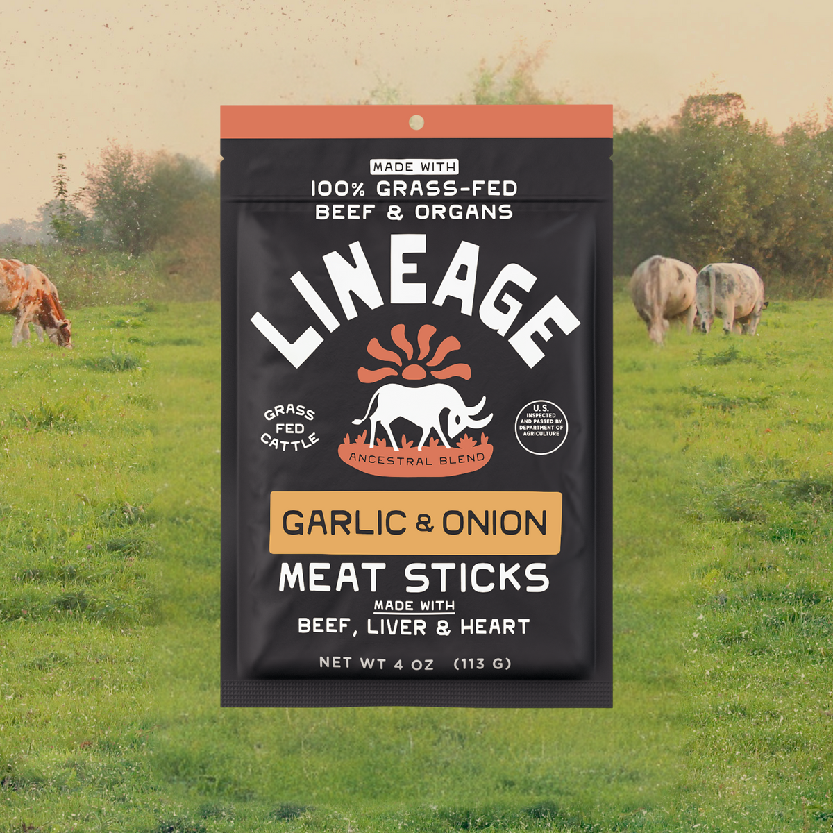 100% Grass-Fed Meat Sticks - Garlic & Onion