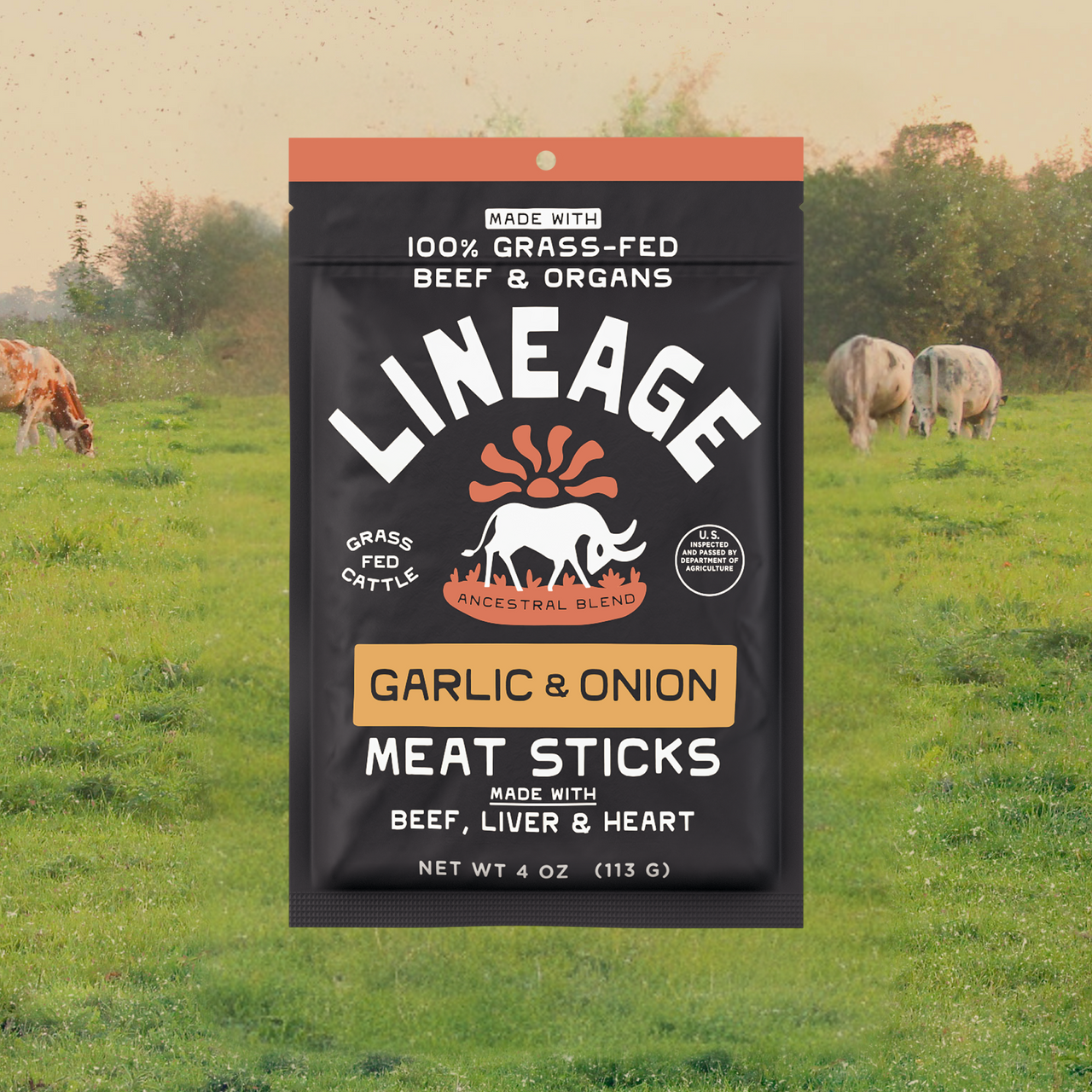 100% Grass-Fed Meat Sticks - Garlic & Onion