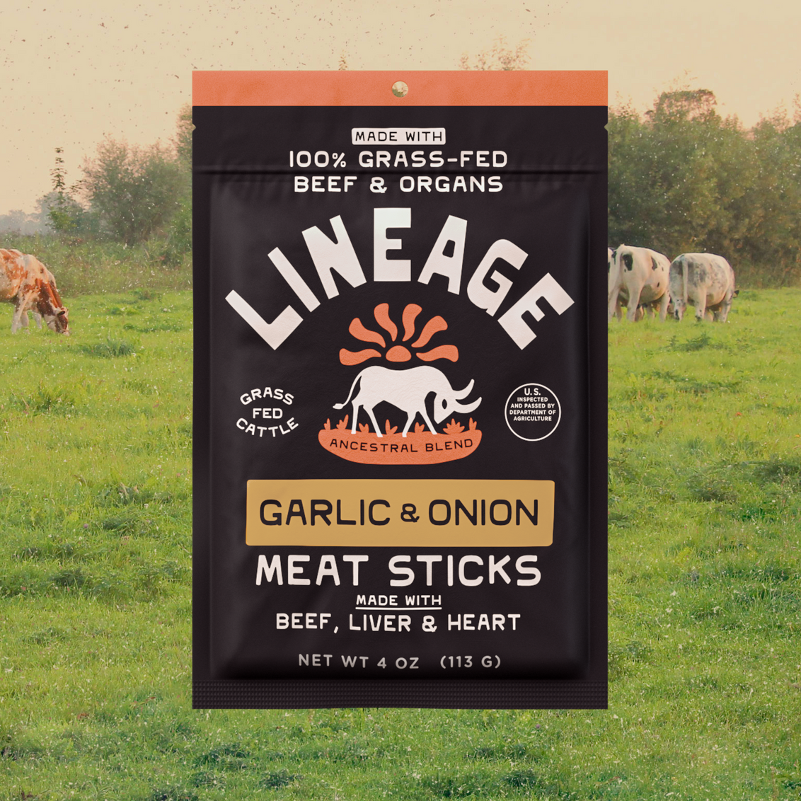 100% Grass-Fed Meat Sticks - Garlic & Onion