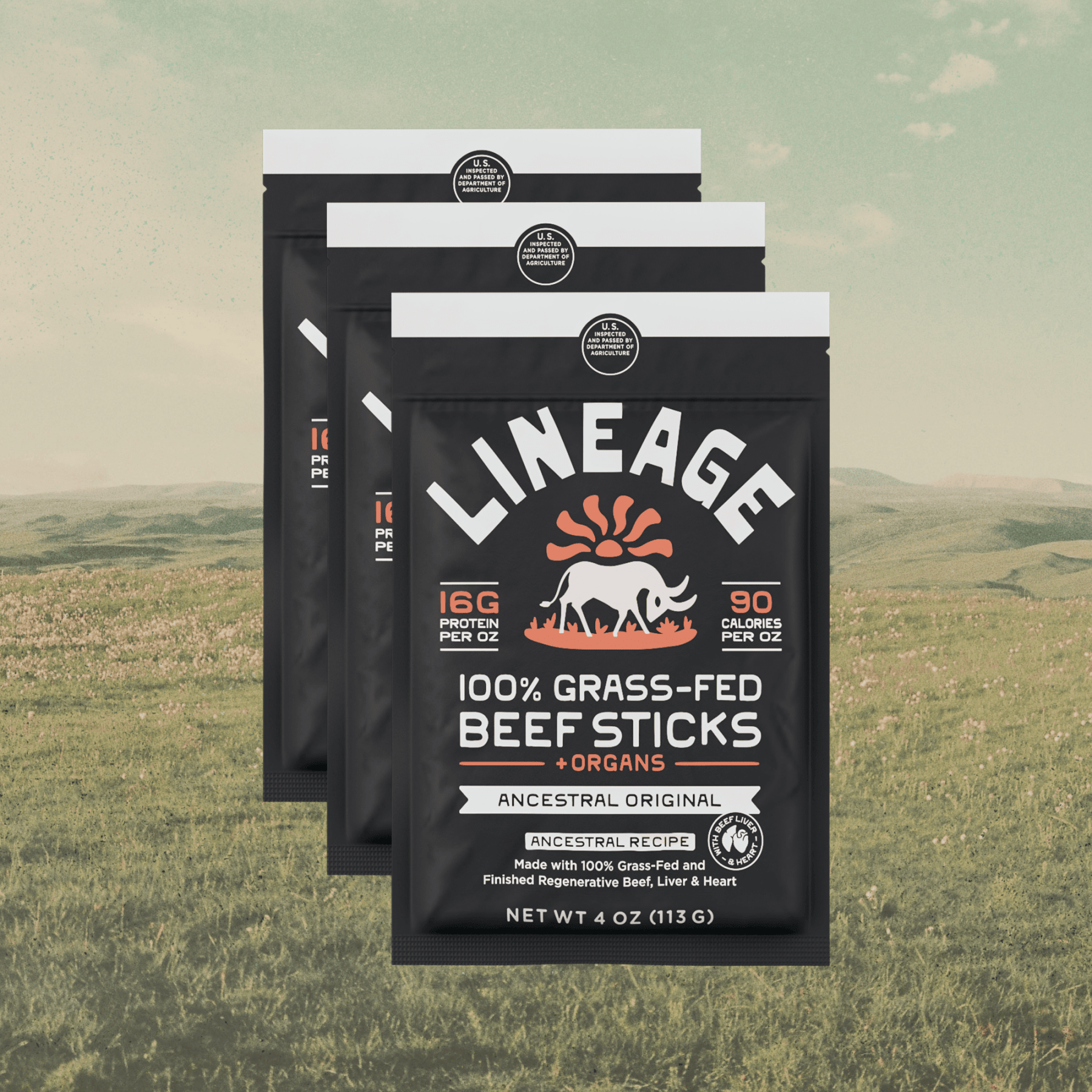 100% Grass-Fed Beef Sticks – Original Flavor