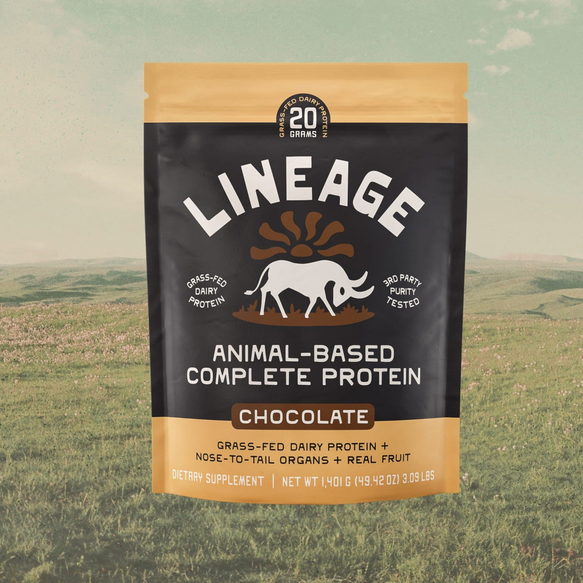 Animal-Based Complete - Dairy Protein (Chocolate)