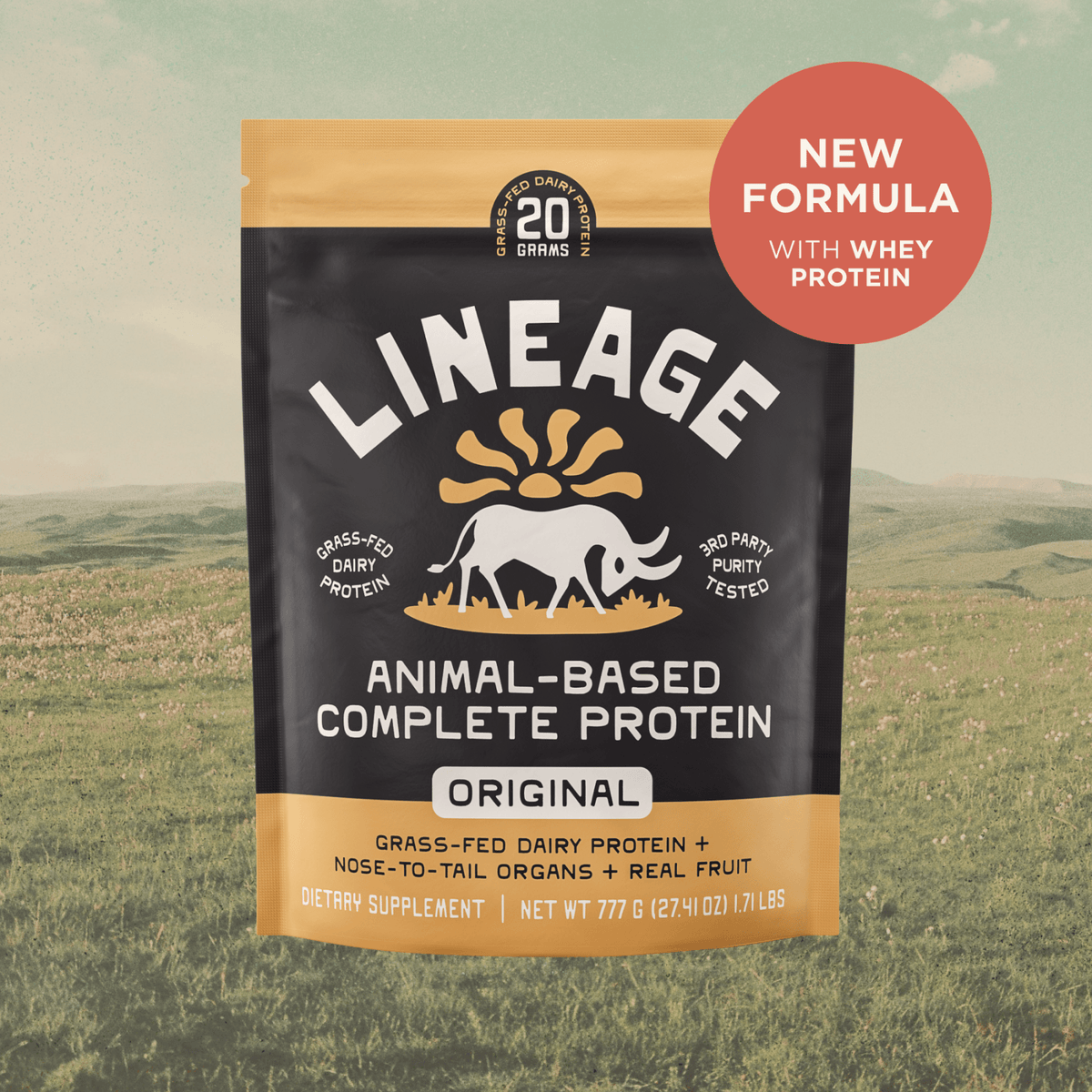Animal-Based Complete - Dairy Protein (Original)