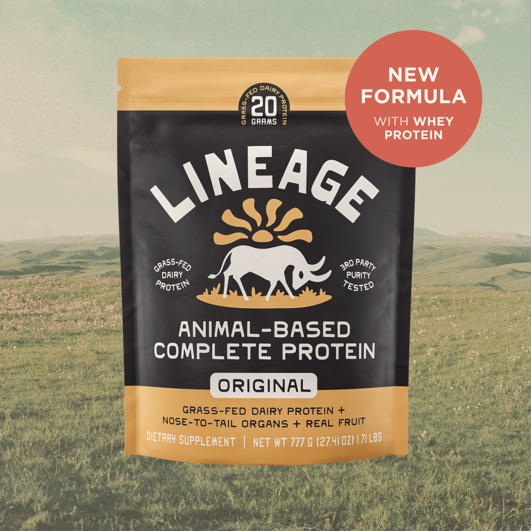 Animal-Based Complete - Dairy Protein (Original)