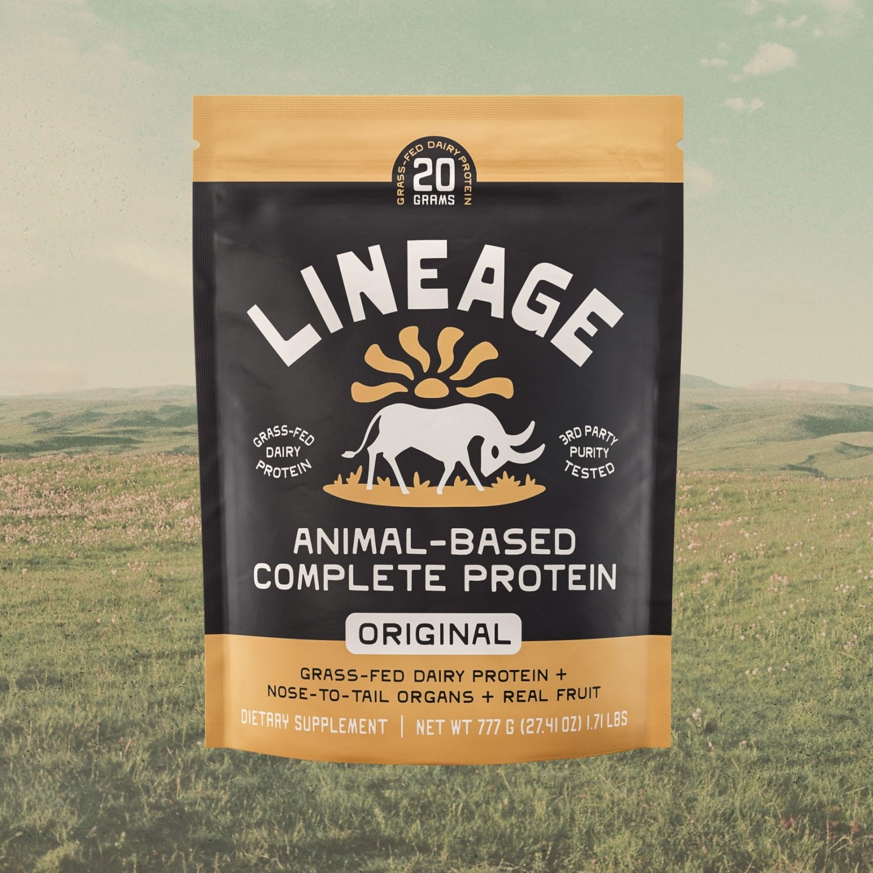 Animal-Based Complete - Dairy Protein (Chocolate)