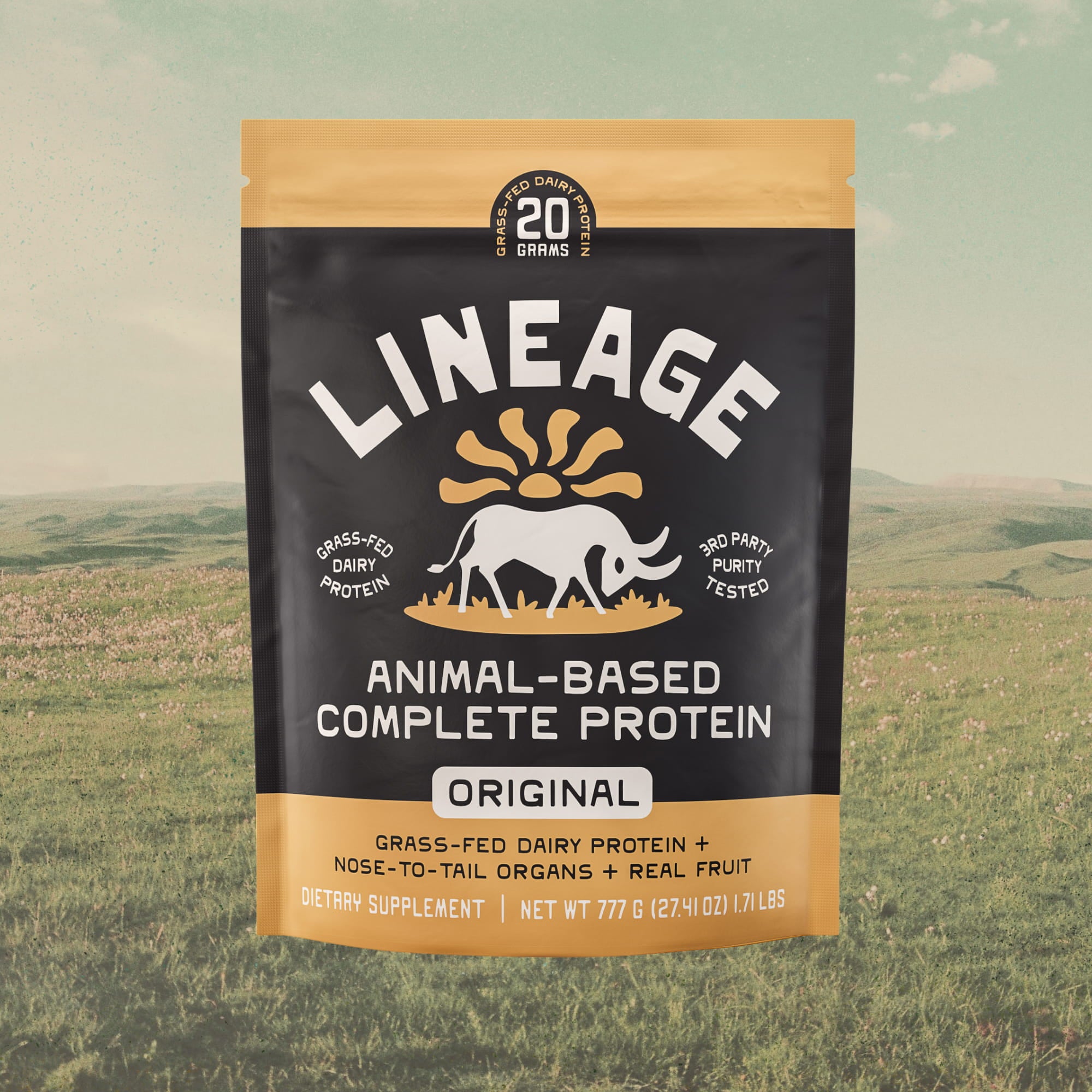 Animal-Based Complete - Dairy Protein (Chocolate)