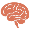 Supports Brain Function