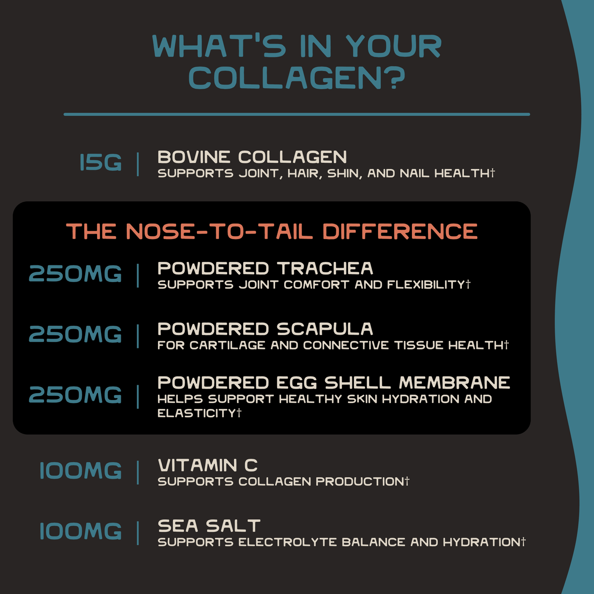 Grass-Fed Nose-to-Tail Collagen