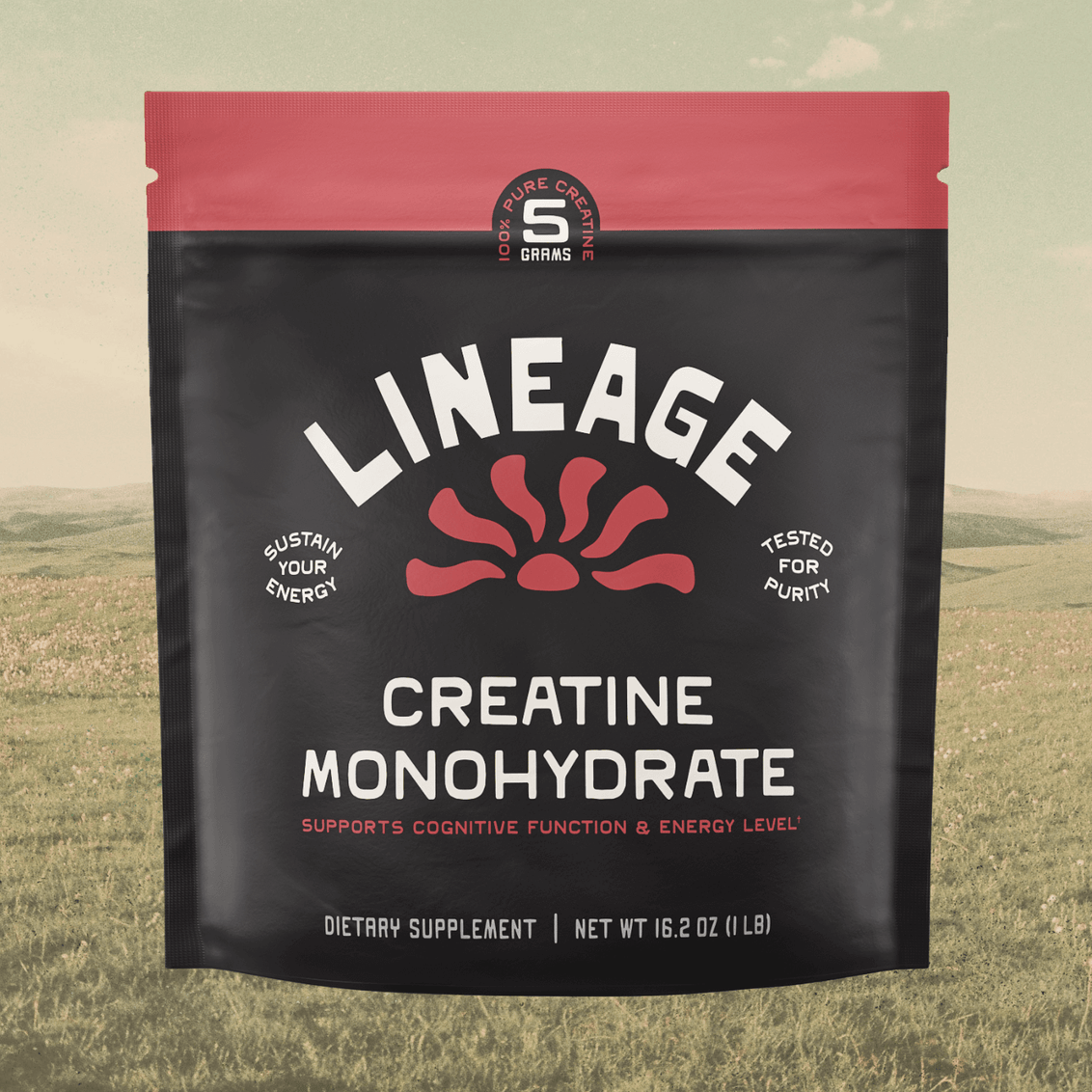 Creatine Monohydrate