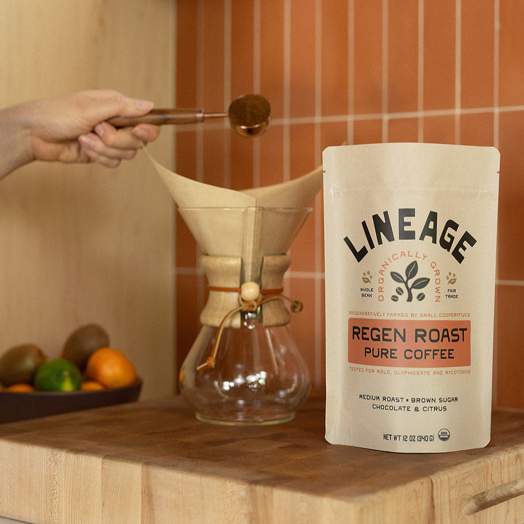 Lineage Regen Roast Coffee
