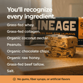 The Lineage Protein Bar (Peanut Butter Chocolate Chip)
